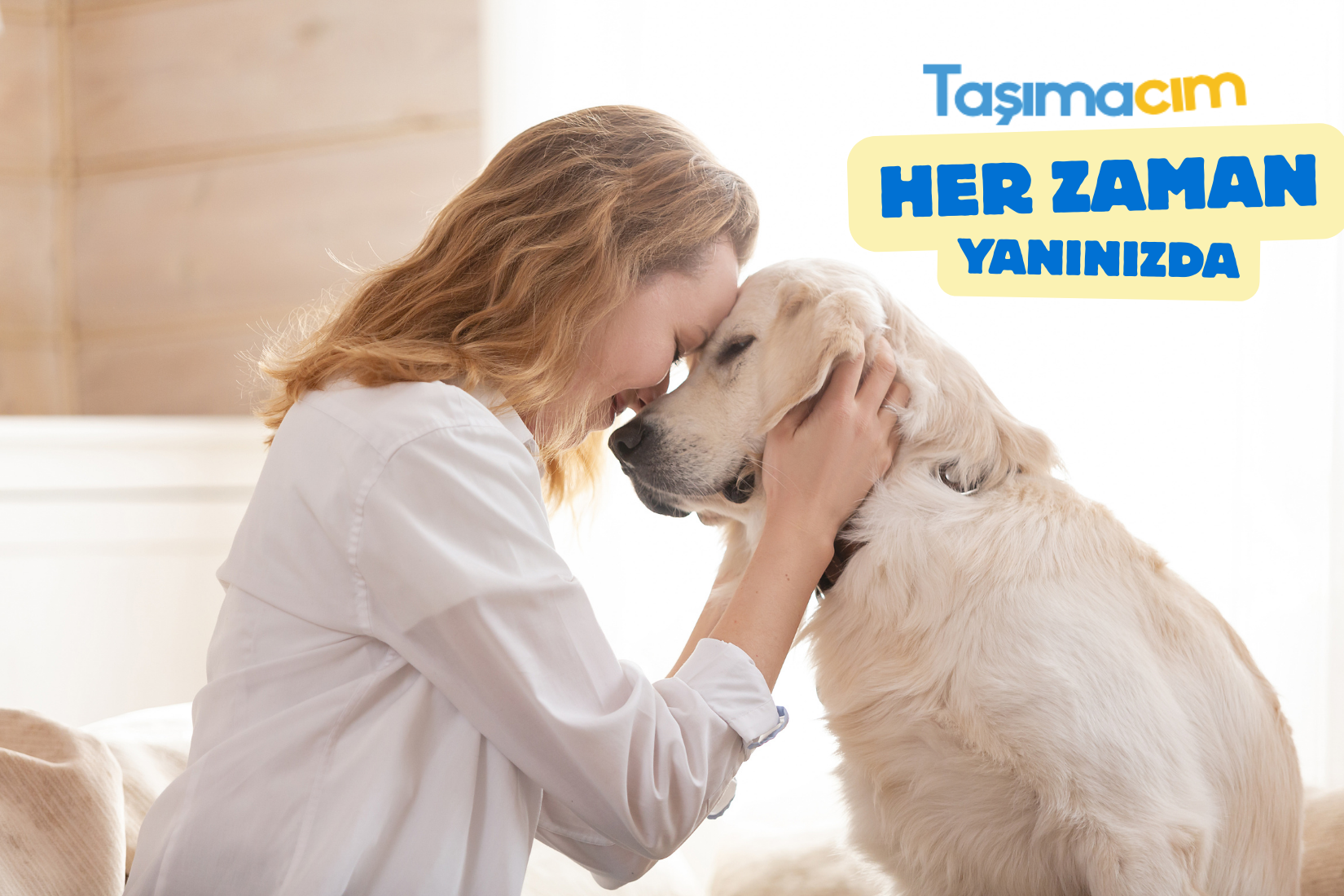 Pet taksi ile evcil hayvanların güvenli ve konforlu taşınmasını sağlayan profesyonel taşıma hizmeti.